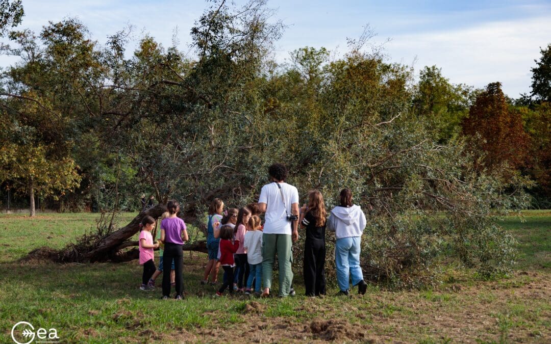 ORTOLANDIA “Investigatori degli alberi” (LAB PER BAMBINI)