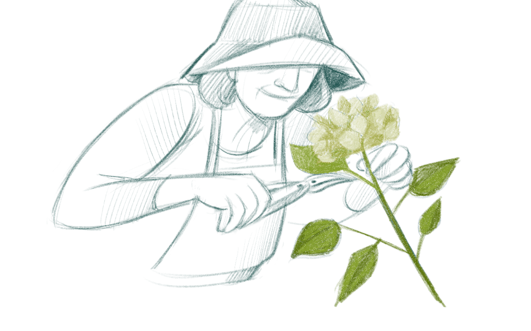 Laboratorio pratico di “Cesteria Moderna in Midollino”