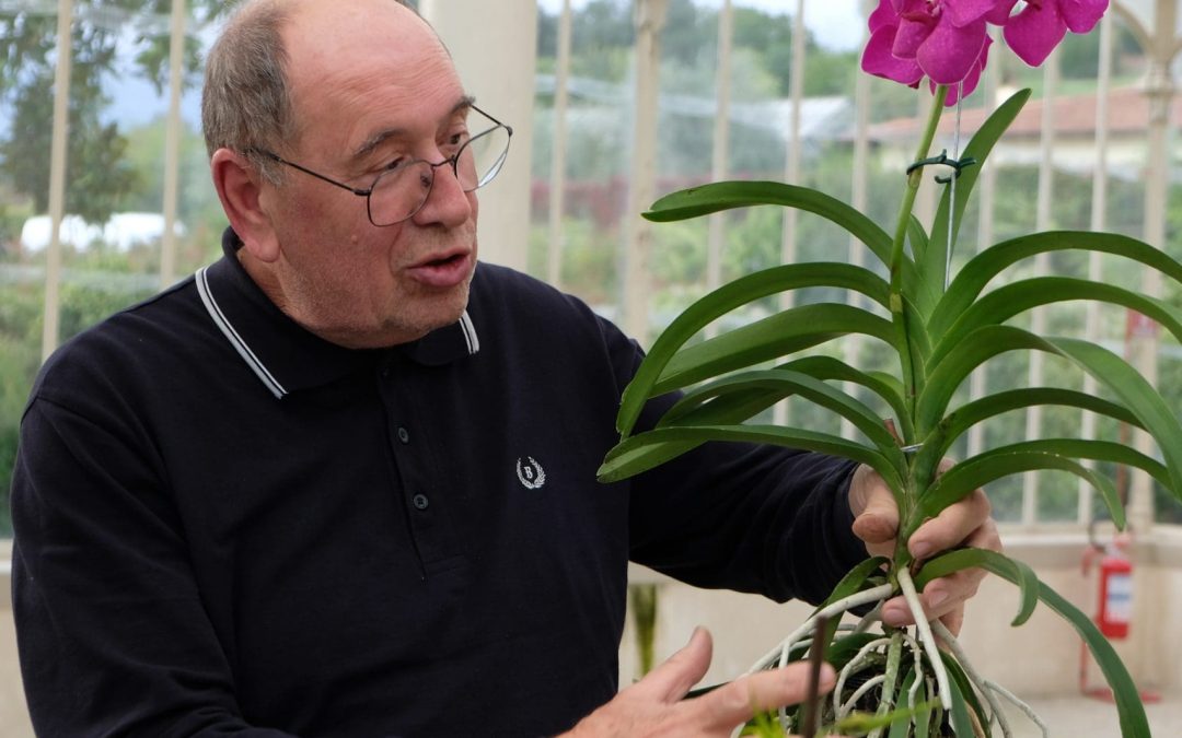 Corso in Pillole “Conoscere le orchidee”